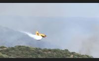 macomer 450 ettari devastati dalle fiamme gli impegni della regione
