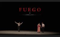 cagliari al parco della musica arriva fuego il flamenco di gades