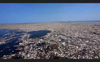 aiutiamo la terra chiude nel nuorese il festival della sostenibilit