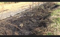 incidente mortale fra senorb e sisini vittima un motociclista di 21 anni