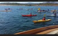 olbia goletta verde fa rotta sull ambiente gi le mani dalla costa