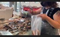 alghero il pesce povero a km zero conquista i menu dei ristoranti