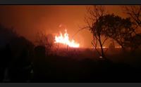 bonorva il deserto dopo il fuoco serve il presidio dei territori