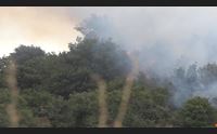nuoro ancora fiamme sul colle di biscollai evacuati alcuni residenti