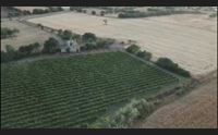 (x merc 14 7) videolina alle 21 scendiamo in campo nuove chances in agricoltura