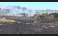 fausto incendi