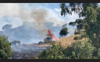 nuoro in balia degli incendiari fiamme altissime 80 ettari in fumo
