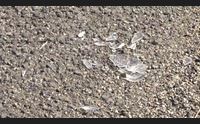 bauladu con lo scooter contro un palo muore 55enne