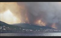 incendi nell oristanese gli agronomi danno ambientale inestimabile
