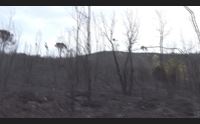 incendio a villaurbana oltre 2 000 ettari bruciati e danni per milioni di euro