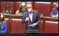 incendi al question time il ministro franco il governo sosterr l isola