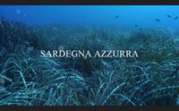 videolina stasera alle 21 sardegna azzurra lungo la costa di sorso