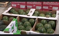 ortofrutta il turismo trascina le vendite record ad agosto
