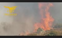 incendi coldiretti 10 mila euro per ettaro il costo per la collettivit