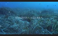 (x gioved 19 ago) sardegna azzurra stasera alle 21 lungo la costa di domus de maria