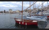 vela latina appassionati di tutta italia si incontrano ad alghero