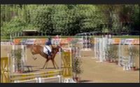 equitazione le giovani promesse sarde alle ponyadi di arezzo