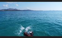 il mare come simbolo di libert il giro a nuoto dell asinara in 48 ore