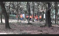 sul monte arci forestas forma i professionisti della tutela dei boschi
