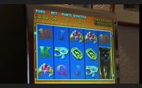 gioco d azzardo boom in provincia di cagliari l ats molto preoccupati