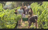jerzu il turismo responsabile secondo it a c tra vigne e natura