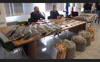 oristano maxi piantagione di cannabis 5 arresti della polizia