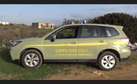 omnibus frenata sugli interinali e polemica sul concorso dei forestali