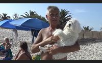 alghero citt dell accoglienza adesso col marchio pet friendly