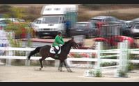 equitazione sardegna jumping tour a tanca regia doppietta di govoni