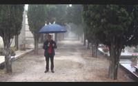 ognissanti l omaggio ai defunti nei cimiteri sardi polemica sui prezzi dei fiori