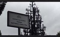 cagliari l albero della vita celebrazioni al camposanto di san michele