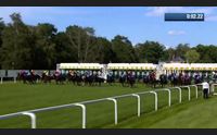 oristano il fantino che fa impazzire ascot