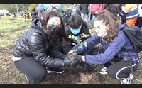 cuglieri in dono alberi e arnie la solidariet avvolge il montiferru