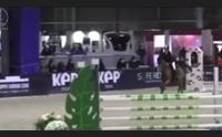 equitazione storico oro per la sardegna alla fieracavalli di verona