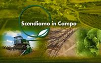 scendiamo in campo