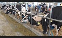 arborea fiera dell agricoltura ripartiamo ma serve programmare