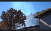 attentato incendiario nelle campagne di fonni morti 36 vitelli