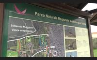 quartu monumenti aperti tante visite al parco di molentargius
