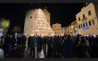 alghero si accende l albero di natale ecologico via ai festeggiamenti