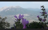 la controfinanziaria progressista la montagna contro lo spopolamento