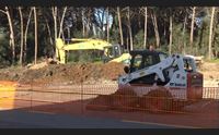 strade sostenibili un modo per limitare gli effetti dei mutamenti climatici