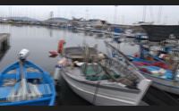 alghero pescatori perplessi su energia marina