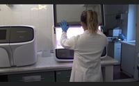 covid il sorpasso di omicron la variante con pi casi in sardegna