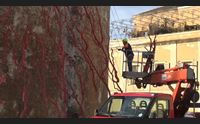 alghero smontato l albero di corallo ha deciso la soprintendenza