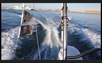 videolina sardegna azzurra fa tappa all asinara appuntamento alle 14 30