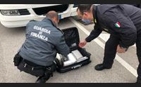 olbia maxi sequestro di droga i cani della finanza scovano 12 chili di coca