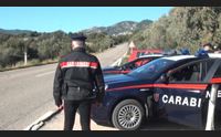 tempio olbia blitz al portavalori i banditi sparano e feriscono l autista