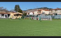 lo sport scaccia il covid dopo il calcio riprendono basket e volley