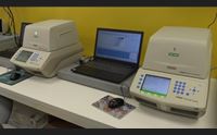 covid 2 mila contagi e 4 morti omicron 2 prevalente nessun caso xe