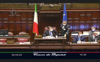 peste suina camera approva decreto per arrestare la diffusione